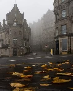 an image of a foggy city street with leaves on the ground and buildings in the background