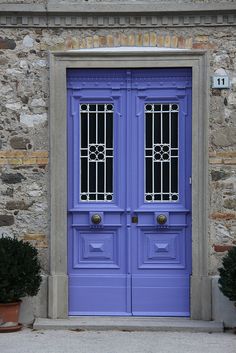 two potted plants sit in front of a blue door that has glass panes on it