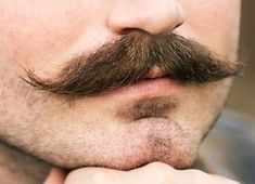 Beard Styles For Bald Men, Styles For Bald Men, Handlebar Mustache Style, Curly Mustache, Long Mustache, Shaved Head With Beard, Goatee Styles, Moustache Style, Cool Mustaches