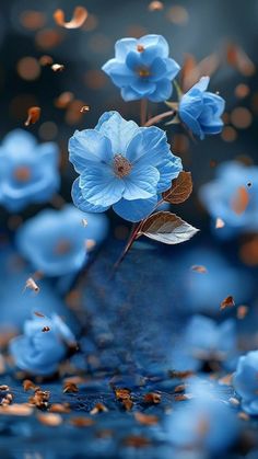 blue flowers are floating in the air with petals scattered around them on a dark background