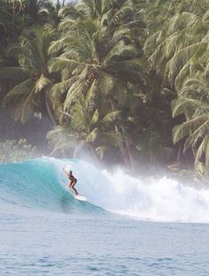 a man riding a wave on top of a surfboard in front of palm trees