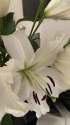 white flowers in a black vase on a table