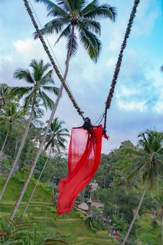 a red scarf hanging from palm trees on a rope in the middle of a jungle