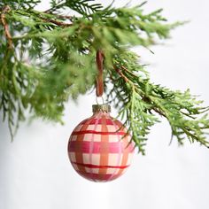 an ornament hanging from a tree branch