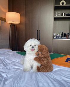 two stuffed animals sitting on top of a bed next to a bookcase in a bedroom