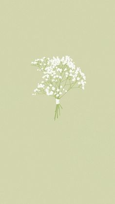 a bouquet of white flowers on a green background