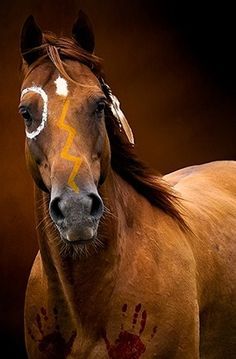 a brown horse with white paint on it's face and head, standing in front of a dark background