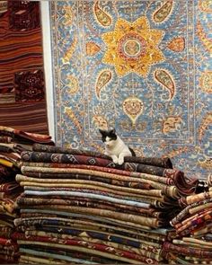 a cat sitting on top of a pile of rugs