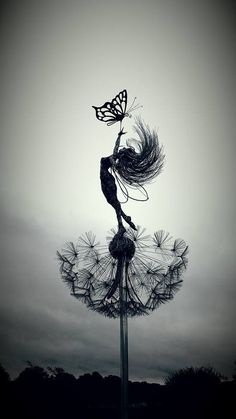 a black and white photo of a dandelion with a butterfly on it