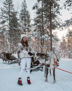 a woman standing next to a reindeer pulling a sleigh through the snow covered forest