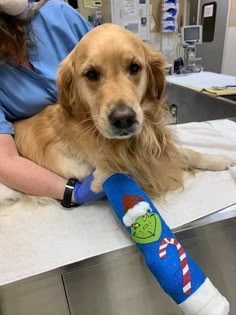 a golden retriever is sitting on a table next to a person with an arm cast