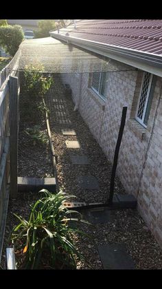 a fenced in area next to a house with plants growing out of the ground