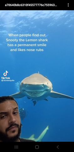 a man is looking at a shark in the water with a quote above him that reads, when people find out snotty the lemon shark has a permanent smile and likes