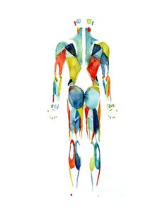 a watercolor drawing of a man's torso with multiple colored circles around it