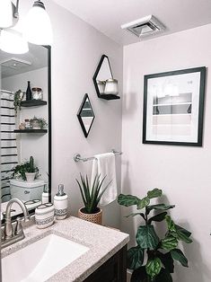 a bathroom with a sink, mirror and potted plant