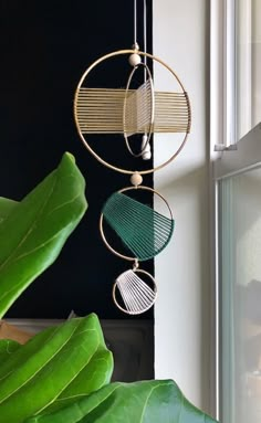 three circular metal objects hanging from a wall next to a green plant in a room