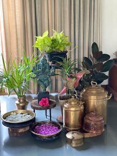 there are many potted plants on the table