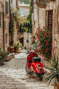 Red Vespa scooter parked in European alley with vibrant flowers and cobblestone path. Red Italy Aesthetic, Italy 70s Aesthetic, Italy Aesthetic Street, Vintage Italy Aesthetic, Summer Phone Backgrounds, Italy Street Photography, Streets In Italy, Red Vespa Aesthetic, Pictures Of Italy