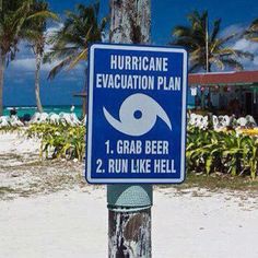 a blue sign that is on the side of a pole in front of some palm trees