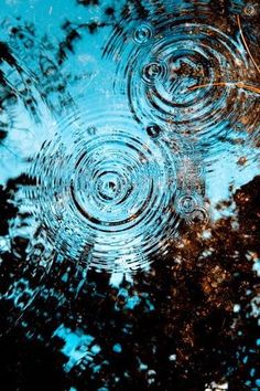 water ripples on the surface of a pond