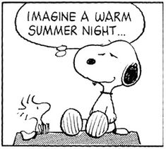 a cartoon strip that says, imagine a warm summer night with snoop and his dog