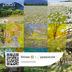 a collage of pictures with trees, flowers and buildings in the background text reads shine e - pepsicola appescia