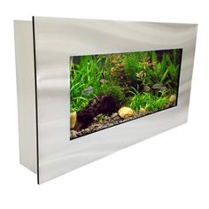 an aquarium with plants and rocks on the bottom is shown in front of a white background