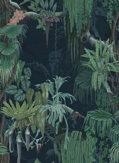 an image of a jungle scene with plants and trees in the foreground, on a dark background