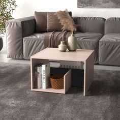 a living room with a couch, coffee table and bookshelf on the floor