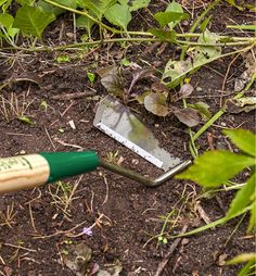 a garden tool laying on the ground next to some plants and dirt with green leaves