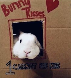 a white rabbit in a cardboard box with the words bunny kisses on it's face