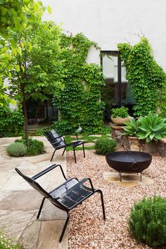 an outdoor garden with chairs and plants