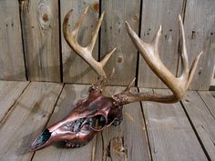 a deer's head with antlers on top of wooden planked flooring