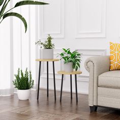 a living room filled with furniture and a plant on top of a table next to a couch