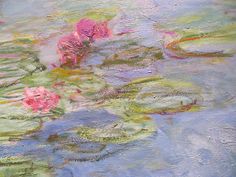 pink flowers are floating in the water on top of green lily pads and blue sky