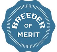 a blue seal with the words breeder of merit written in white on it