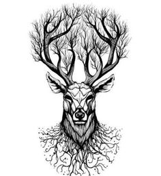 an ink drawing of a deer's head with trees growing out of its antlers