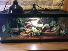 an aquarium with plants and rocks in it on top of a wooden table next to a brick wall