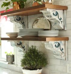 a shelf with plates and plants on it