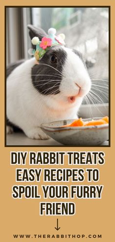 a black and white rabbit eating carrots with the caption diy rabbit treats easy recipes to spoil your furry friend