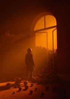 a person standing in front of an open window at night with birds on the ground