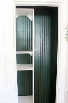 an open closet door with shelves on each side and green corrugated wall covering the walls