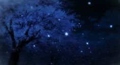 the night sky is full of stars and trees