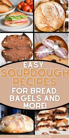 easy sourdough recipes for bread, bagels and more are featured in this post