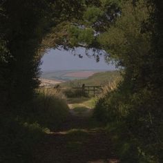 a dirt road that has trees on both sides and a gate in the middle between them