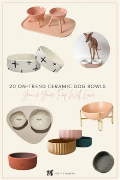 various bowls and plates with the words, 20 on - trend ceramic dog bowls you're