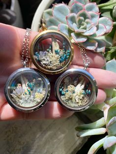 Dried Terrarium Pendants!  Made using dried flowers, moss, crystals, shells and cute little crab claw shedding that I found on the beach!  The lockers are made out of stainless steel and come with a 16inch stainless steel chain.  Progress videos / pictures of me making them are on my Instagram!  @art_from_the_meadow Using Dried Flowers, Claw Jewelry, Crab Claw, Crab Claws, The Meadows, Etsy Ideas, Instagram Art, Clothing Co, Steel Chain