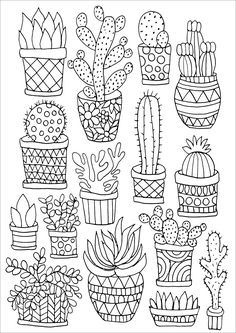 a coloring page with cactus and succulents