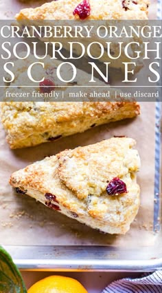 cranberry orange sourdough scones on a baking sheet