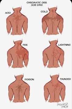 an image of the back of a person's body with different types of blood on it